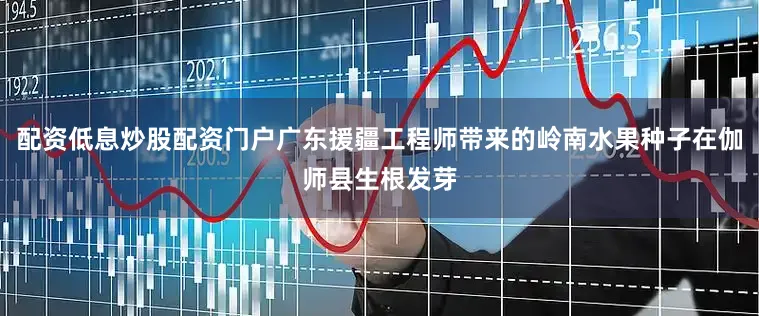 配资低息炒股配资门户广东援疆工程师带来的岭南水果种子在伽师县生根发芽