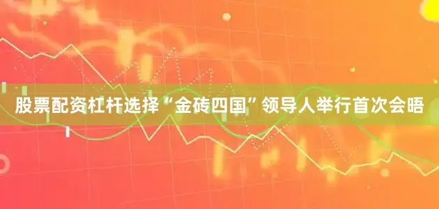 股票配资杠杆选择“金砖四国”领导人举行首次会晤