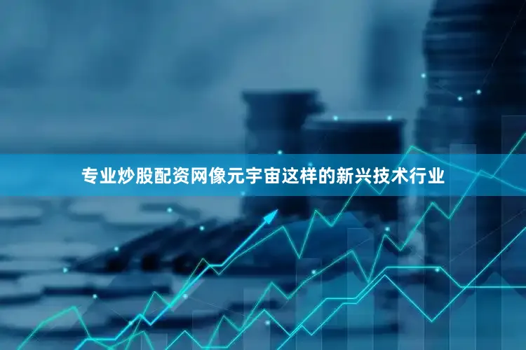 专业炒股配资网像元宇宙这样的新兴技术行业