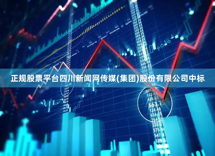 正规股票平台四川新闻网传媒(集团)股份有限公司中标