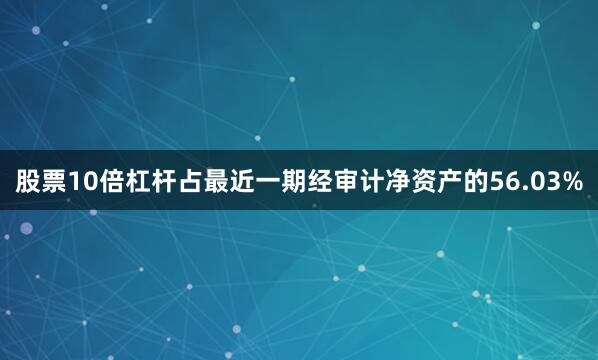 股票10倍杠杆占最近一期经审计净资产的56.03%